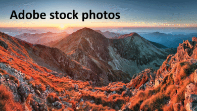 Adobe Stock Photos