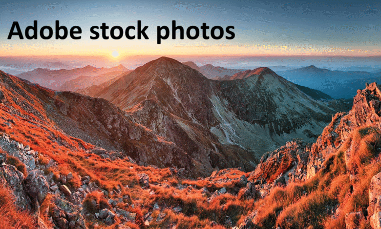 Adobe Stock Photos